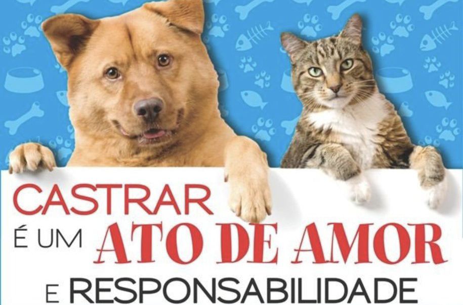 Gestão Gelson Coelho consolida política permanente de castração com convênio à Clínica Vale Vet em São Jorge D’Oeste